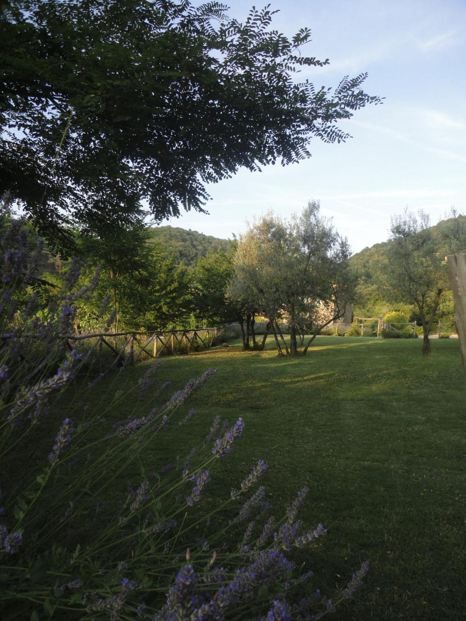 Il Capriolo Vila San Cerbone Exterior foto