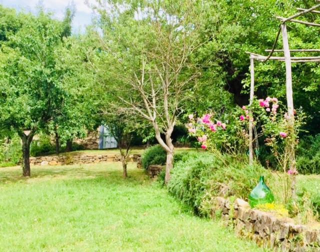 Il Capriolo Vila San Cerbone Exterior foto