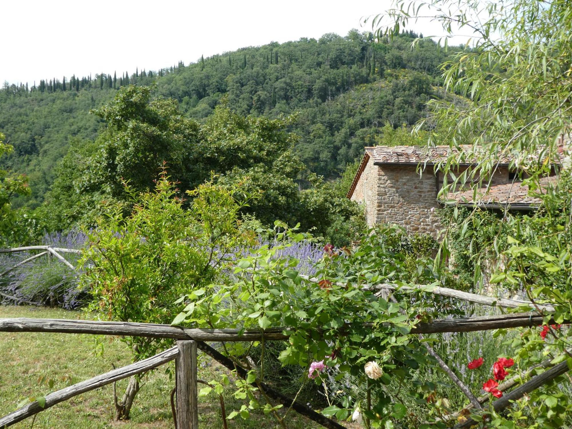 Il Capriolo Vila San Cerbone Exterior foto
